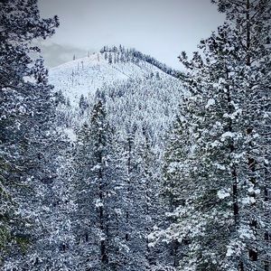 Meet your Posher, Jackson